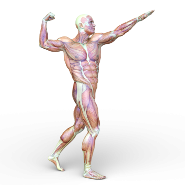 Poz veren bir adamın 3B görüntüsü