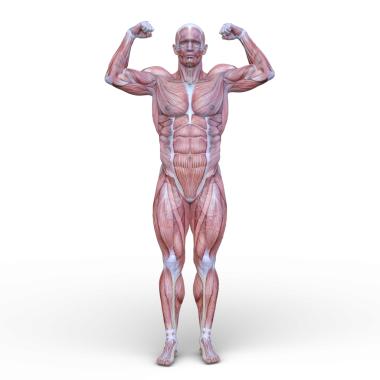 Poz veren bir adamın 3B görüntüsü