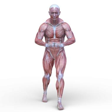 Poz veren bir adamın 3B görüntüsü