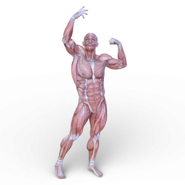 Poz veren bir adamın 3B görüntüsü