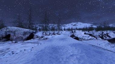 3D rendering of the snow field