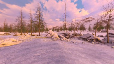 3D rendering of the snow field