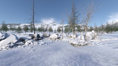 3D rendering of the snow field