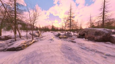 3D rendering of the snow field