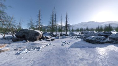 3D rendering of the snow field