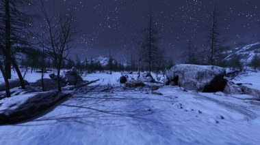 3D rendering of the snow field