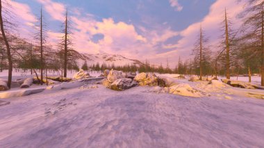3D rendering of the snow field