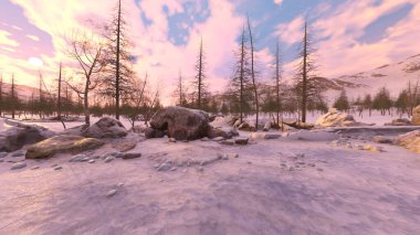 3D rendering of the snow field
