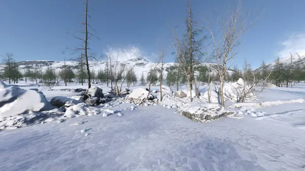 3D rendering of the snow field