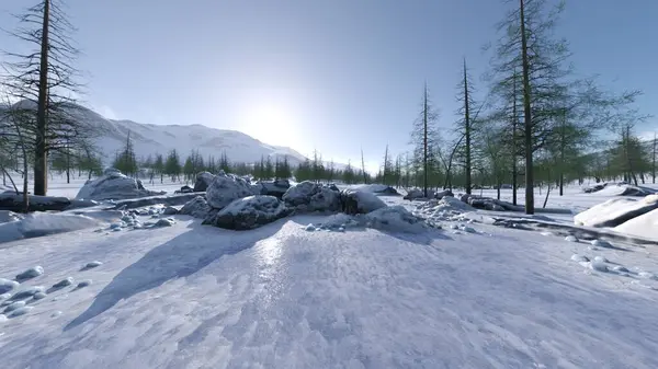 3D rendering of the snow field