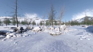 Kar alanının 360 derece görüntülenmesi