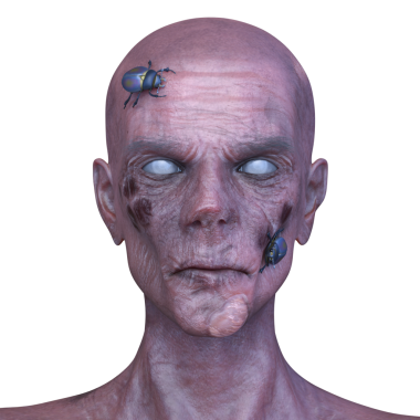 Erkek zombi yüzünün 3 boyutlu hali