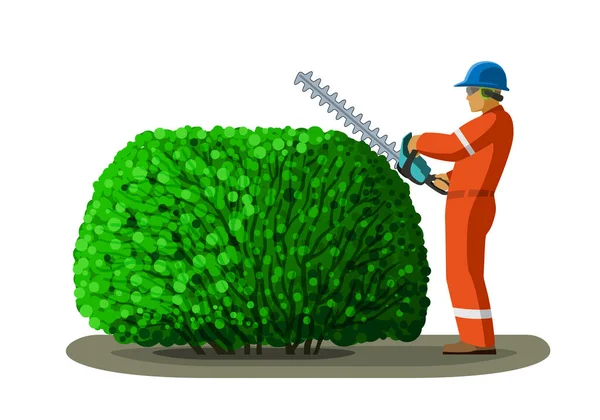 Arborist Arbetare Med Häcksax Beskärning Träd Clip Konst Träd Kirurg — Stock vektor