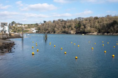 Fowey Nehri 'ndeki sarı bulvarlar. 