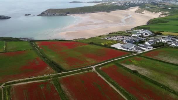 Poppies วเพนน ใกล Newquay Cornwall งกฤษ สหราชอาณาจ กรจากเคร องบ นโดรนทางอากาศ — วีดีโอสต็อก