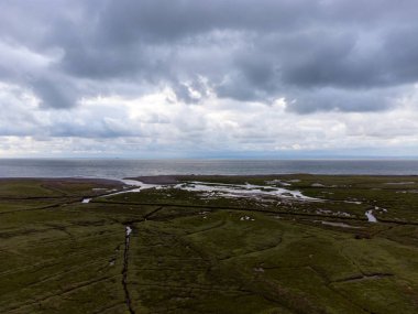 Somerset İngiltere 'den Porlock Bataklığı. 