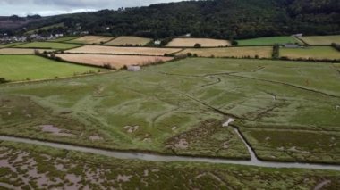 Somerset İngiltere 'den Porlock Bataklığı. 