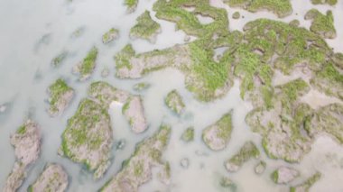 Somerset İngiltere 'den Porlock Bataklığı. 