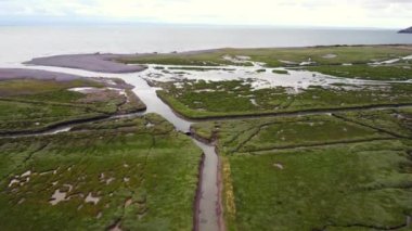 Somerset İngiltere 'den Porlock Bataklığı. 