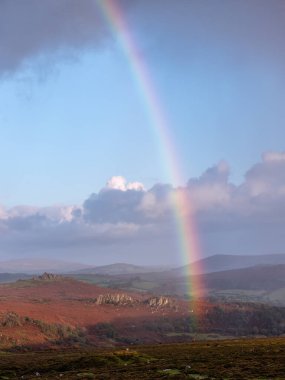 Haytor Dartmoor Ulusal Parkı Devon İngiltere Güneş Doğumu ve Gökkuşağı 