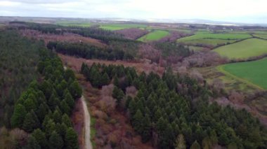 Truro yakınlarındaki ağaçlar yukarıdaki drone Cornwall Uk 'tan. 