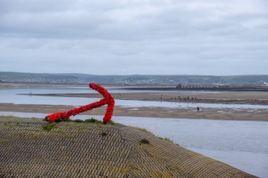 Haşhaş Appledore Devon İngiltere 'ye bağlıdır. 