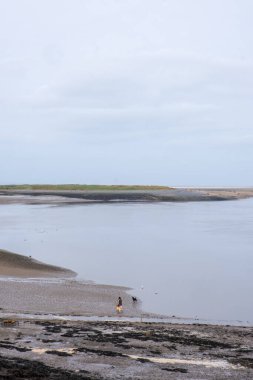 Appledore Devon İngiltere 'deki nehir kıyısında. 