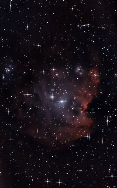 Monkey Head Nebula Ngc2175 — Stock Photo, Image