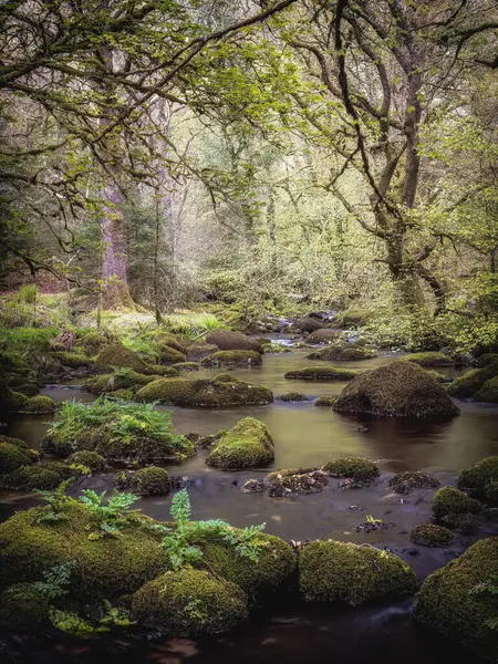 Река Дартмурском Национальном Парке Devon England Рядом Водохранилищем Бурратор Стоковое Фото