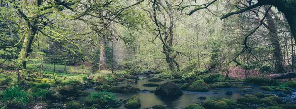 River Dartmoor National Park Devon England Cerca Del Embalse Burrator Imágenes De Stock Sin Royalties Gratis