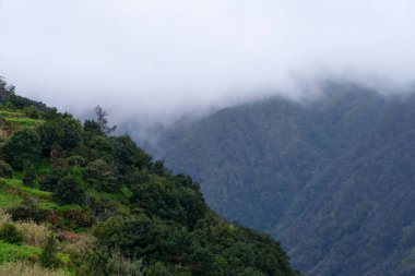 Madeira dağları sisli 