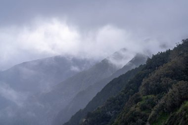 Madeira dağları sisli 