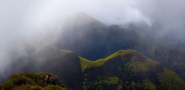 Madeira dağları sisli 