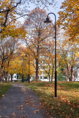 Canlı sonbahar yaprakları sergilenen uzun ağaçlarla kaplı manzaralı bir park yolu. Yol siyah sokak lambalarıyla çevrili ve düşen yapraklar zemini kaplıyor. Binalar arka planda görünür..