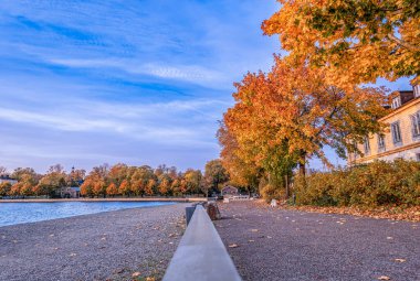 Sahil boyunca uzanan dingin bir patika rüzgarda hafifçe sallanan canlı ağaçlarla dolu..