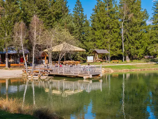 Bloke, Slovenya - 12 Nisan 2025: Durgun su üzerinde uzanan ve yemyeşil ağaçlar ve açık mavi gökyüzü ile çevrili, sakin bir göl kenarı sahnesi. Yakınlarda gölgeli bir alan görülebiliyor. Bu da dışarıda huzurlu bir atmosfer yaratıyor..