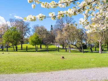 Çiçeklerin, yemyeşil çimenlerin ve ağaçların olduğu sakin bir park sahnesi. Arka planda, siyah demir bir çitle çevrili tarihi bir bina kısmen görülebilir. Gökyüzü parlak mavi, kabarık bulutlar huzurlu bir atmosfer yaratıyor..