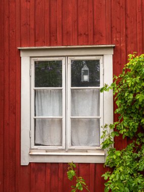 Kırsal kırmızı ahşap duvarda beyaz perdeleri olan büyüleyici bir pencere. Yeşillik yeşillik pencereyi çerçeveler, doğaya bir dokunuş ekler.