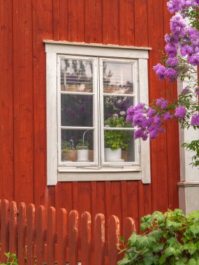 Vaxholm, İsveç - 4 Haziran 2025: Saksı bitkileriyle süslenmiş beyaz pencereli büyüleyici bir İsveç ahşap evi. Mor leylak çiçekleri yakınlarda açar, manzaraya biraz renk katar..