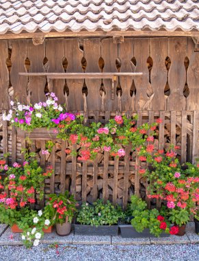 Değişik saksılarda canlı çiçeklerle süslenmiş kırsal ahşap bir duvar büyüleyici bir bahçe düzenlemesi sergiliyor. Arkaplanda dekoratif kesimlere sahip geleneksel bir ahşap yapı yer alıyor..
