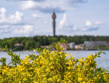 Stockholm, İsveç - 10 Haziran 2025: Uzakta sarı çiçekli çalıların bulunduğu bulanık bir iletişim kulesinin manzarası.