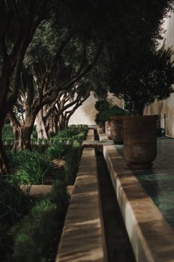 Fas, Marakeş 'teki Gizli Bahçe. Kopyalama alanı olan portre yönelimli resim