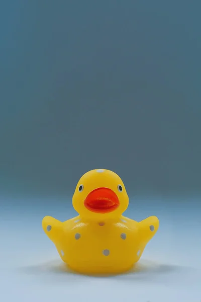 stock image A single yellow rubber duck toy against plain background. Portrait orientation with copy space.