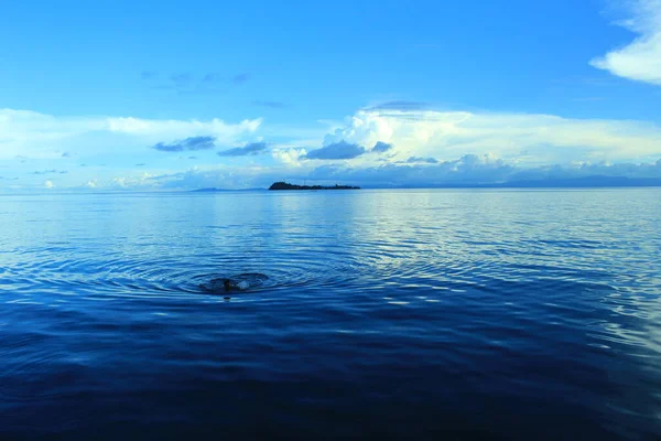 Exotic Nature Marine Tourism Piaynemo Raja Ampat Indonesia Piaynemo One — Stock Photo, Image