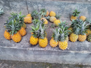 Taze ve olgun ananas meyvesi, Endonezya dağlarından gelir. Bu meyve çok lezzetli..