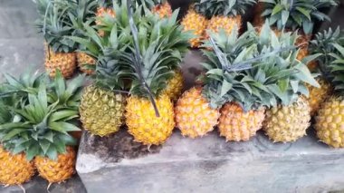 Taze ve olgun ananas meyvesi, Endonezya dağlarından gelir. Bu meyve çok lezzetli..