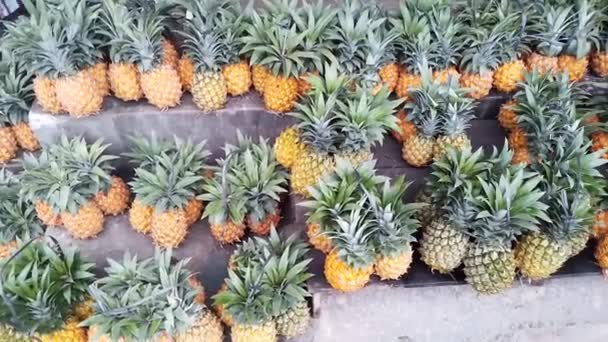 Fruto Abacaxi Fresco Maduro Vem Das Montanhas Indonésia Este Fruto — Vídeo de Stock