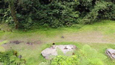 Temiz bir nehrin kıyısındaki güzel bir kamp alanının videosu, dağlarda güzel bir kamp yeri..