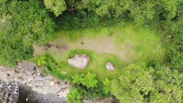 Temiz Bir Nehrin Kıyısındaki Güzel Bir Kamp Alanının Videosu Dağlarda — Stok video