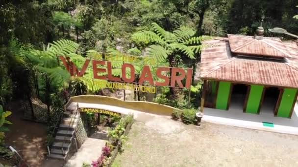 Vídeo Drone Típico Edifício Javanês Meio Uma Bela Densa Floresta — Vídeo de Stock